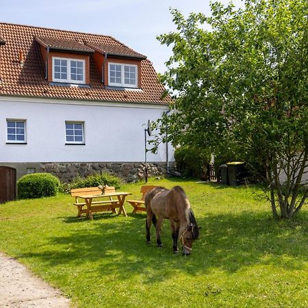 Ferienwohnung "Flori'S Ponyhof" Kröpelin Zewnętrze zdjęcie